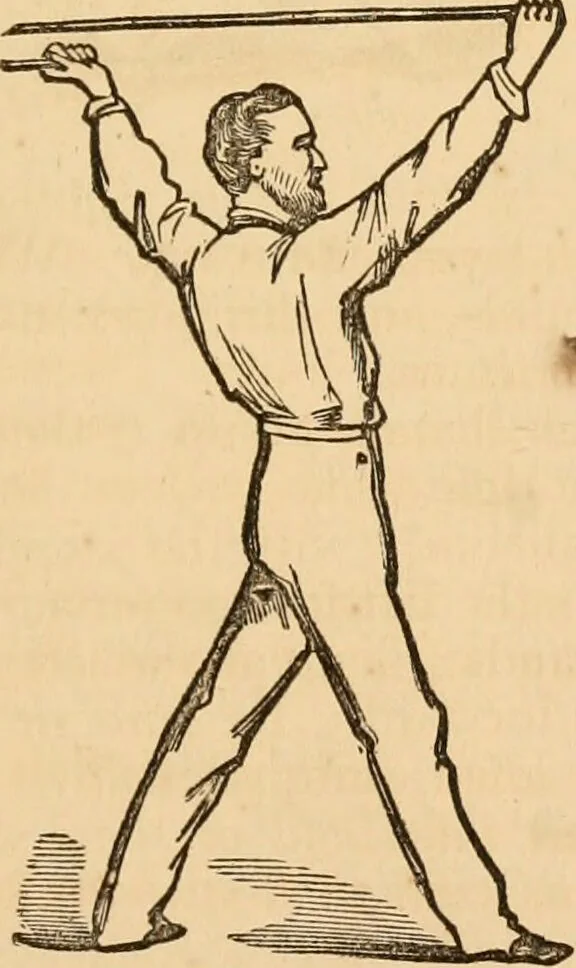 An illustration from The household physician : for the use of families, planters, seamen, and travellers ; being a brief description, in plain language, of all the diseases of men, women, and children, with the newest and most approved methods of curing them / by Ira Warren., 1866, leaf 783