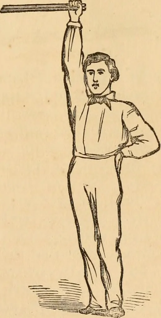 An illustration from The household physician : for the use of families, planters, seamen, and travellers ; being a brief description, in plain language, of all the diseases of men, women, and children, with the newest and most approved methods of curing them / by Ira Warren., 1866, leaf 783