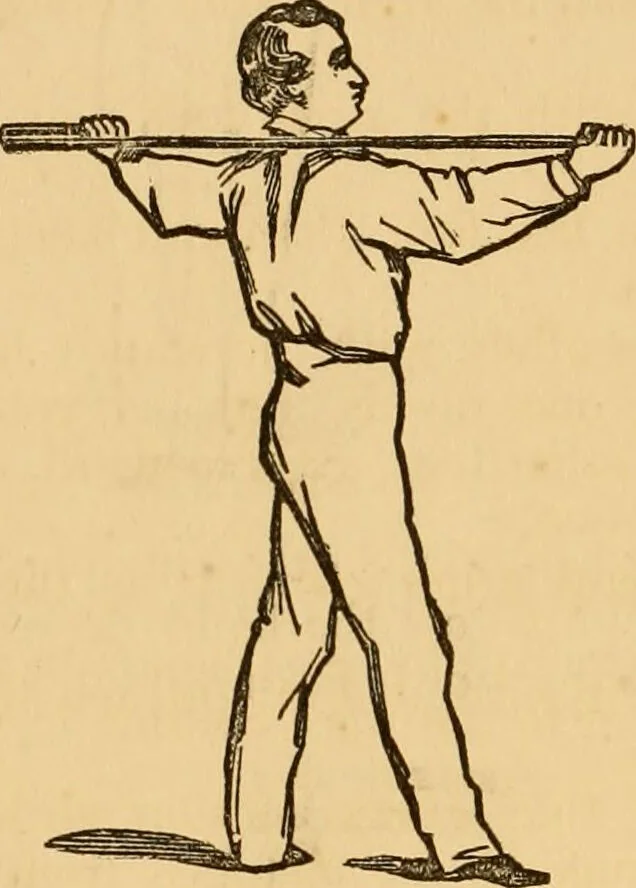 An illustration from The household physician : for the use of families, planters, seamen, and travellers ; being a brief description, in plain language, of all the diseases of men, women, and children, with the newest and most approved methods of curing them / by Ira Warren., 1866, leaf 784