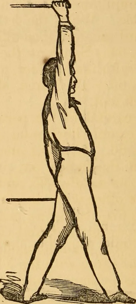 An illustration from The household physician : for the use of families, planters, seamen, and travellers ; being a brief description, in plain language, of all the diseases of men, women, and children, with the newest and most approved methods of curing them / by Ira Warren., 1866, leaf 784