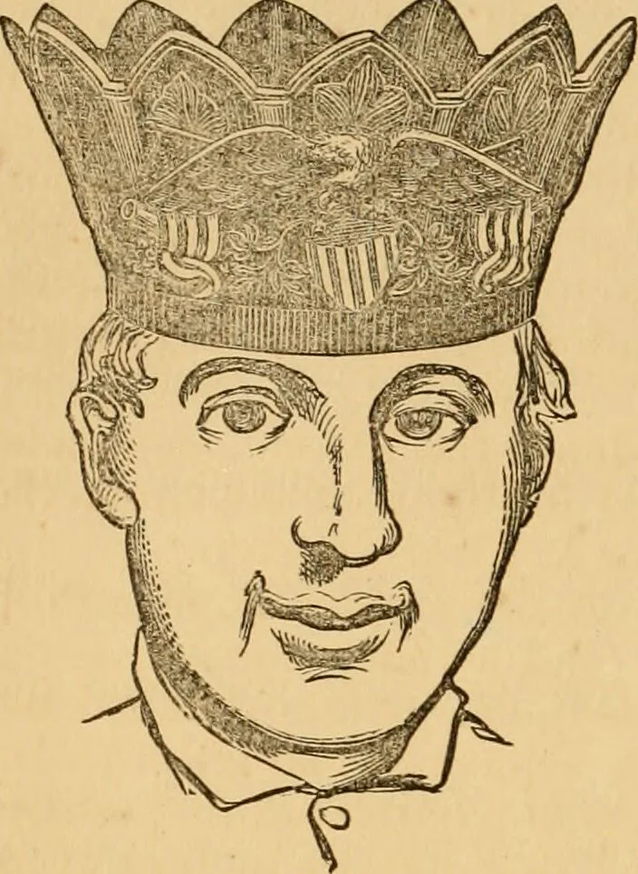 An illustration from The household physician : for the use of families, planters, seamen, and travellers ; being a brief description, in plain language, of all the diseases of men, women, and children, with the newest and most approved methods of curing them / by Ira Warren., 1866, leaf 786