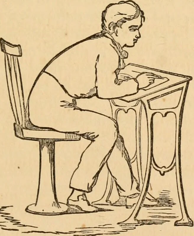 An illustration from The household physician : for the use of families, planters, seamen, and travellers ; being a brief description, in plain language, of all the diseases of men, women, and children, with the newest and most approved methods of curing them / by Ira Warren., 1866, leaf 787