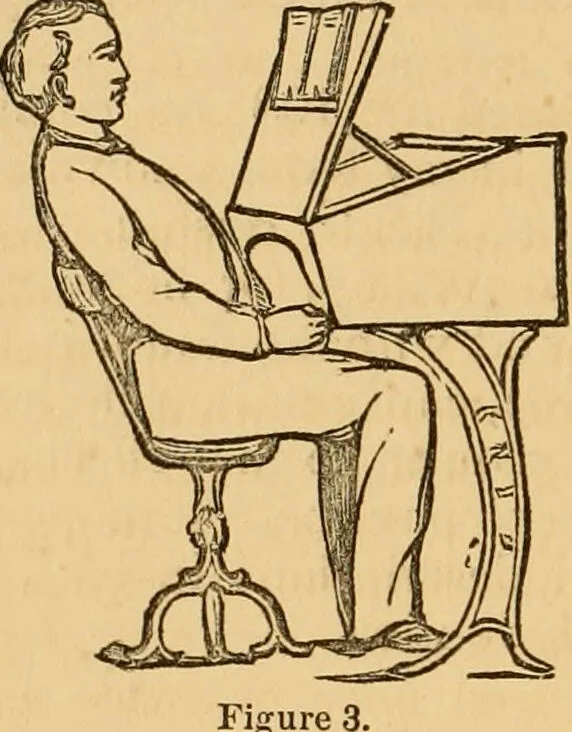An illustration from The household physician : for the use of families, planters, seamen, and travellers ; being a brief description, in plain language, of all the diseases of men, women, and children, with the newest and most approved methods of curing them / by Ira Warren., 1866, leaf 788