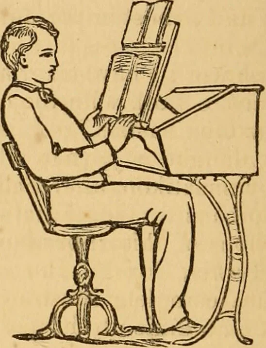 An illustration from The household physician : for the use of families, planters, seamen, and travellers ; being a brief description, in plain language, of all the diseases of men, women, and children, with the newest and most approved methods of curing them / by Ira Warren., 1866, leaf 788