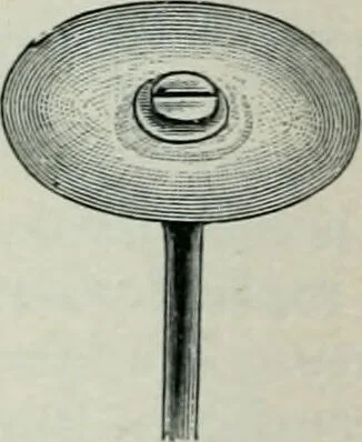 An illustration from Atlas and text-book of dentistry including diseases of the mouth / by Gustav Preiswerk. Edited by George W. Warren., 1906, leaf 302