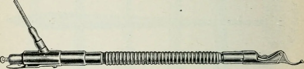 An illustration from Atlas and text-book of dentistry including diseases of the mouth / by Gustav Preiswerk. Edited by George W. Warren., 1906, leaf 322