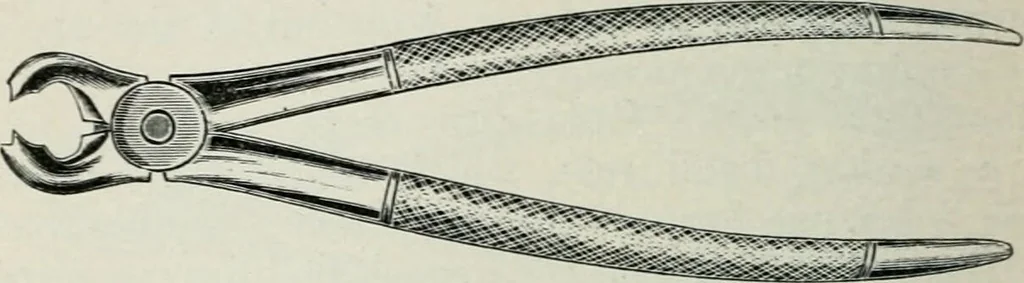 An illustration from Atlas and text-book of dentistry including diseases of the mouth / by Gustav Preiswerk. Edited by George W. Warren., 1906, leaf 424