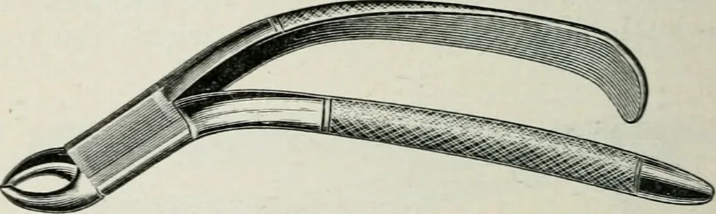 An illustration from Atlas and text-book of dentistry including diseases of the mouth / by Gustav Preiswerk. Edited by George W. Warren., 1906, leaf 424