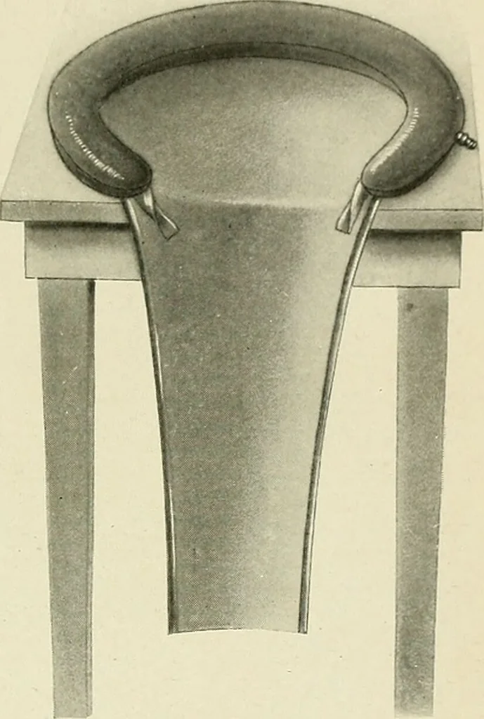 An illustration from Obstetrics : a text-book for the use of students and practitioners / by J. Whitridge Williams ... with eight coloured plates and six hundred and thirty illustrations in the text., 1903, leaf 335