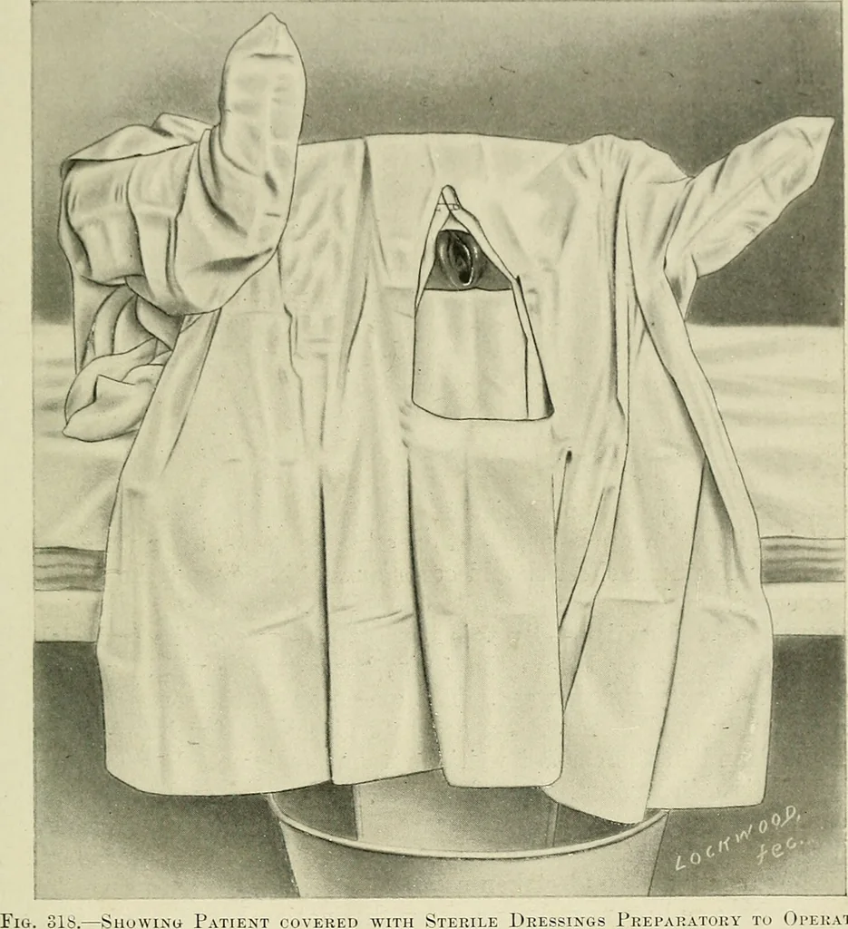 An illustration from Obstetrics : a text-book for the use of students and practitioners / by J. Whitridge Williams ... with eight coloured plates and six hundred and thirty illustrations in the text., 1903, leaf 389