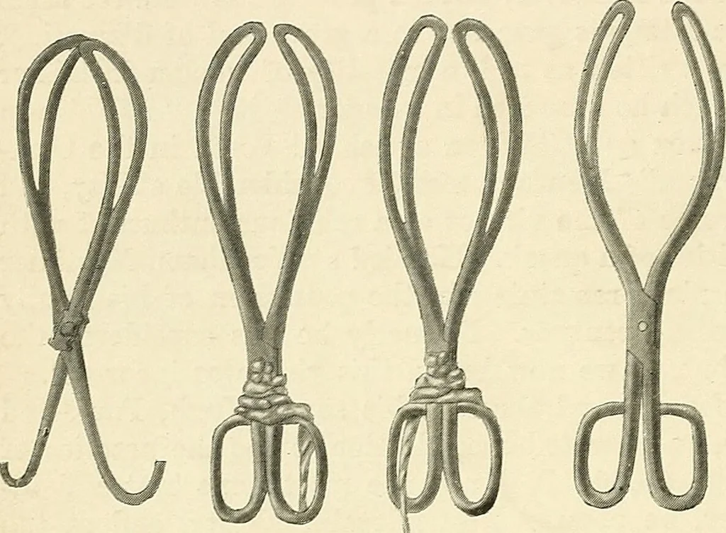 An illustration from Obstetrics : a text-book for the use of students and practitioners / by J. Whitridge Williams ... with eight coloured plates and six hundred and thirty illustrations in the text., 1903, leaf 406