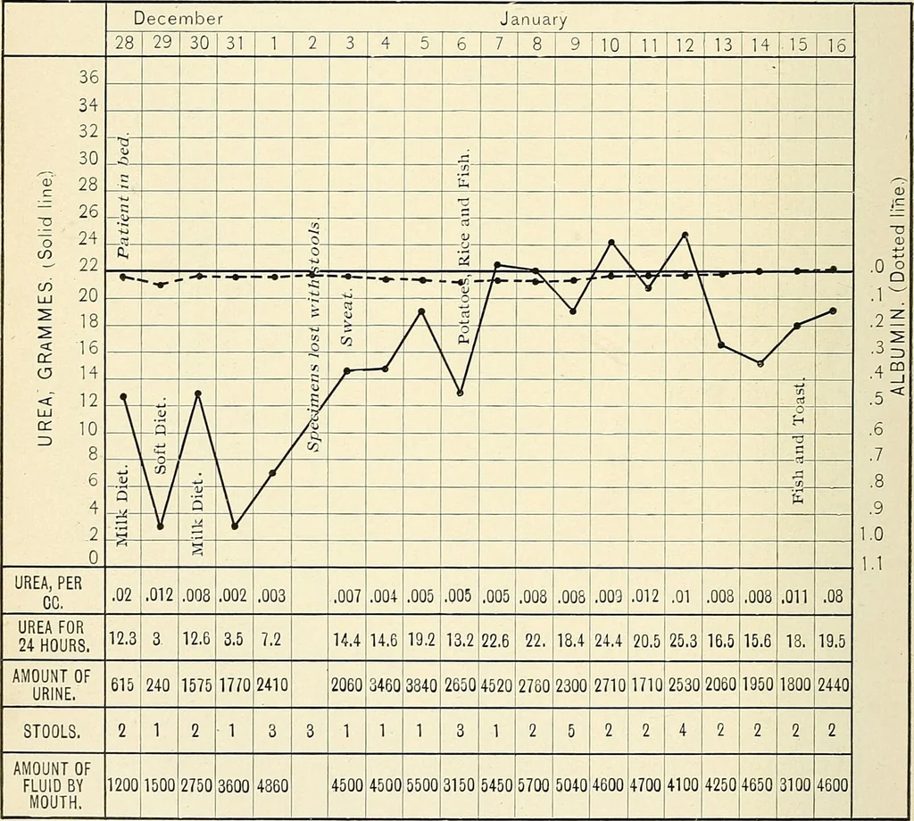 An illustration from Obstetrics : a text-book for the use of students and practitioners / by J. Whitridge Williams ... with eight coloured plates and six hundred and thirty illustrations in the text., 1903, leaf 510