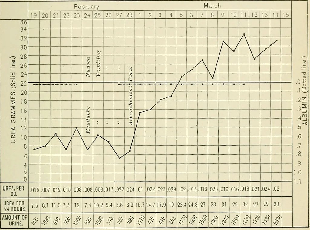 An illustration from Obstetrics : a text-book for the use of students and practitioners / by J. Whitridge Williams ... with eight coloured plates and six hundred and thirty illustrations in the text., 1903, leaf 511