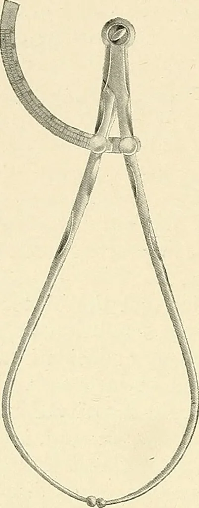 An illustration from Obstetrics : a text-book for the use of students and practitioners / by J. Whitridge Williams ... with eight coloured plates and six hundred and thirty illustrations in the text., 1903, leaf 638