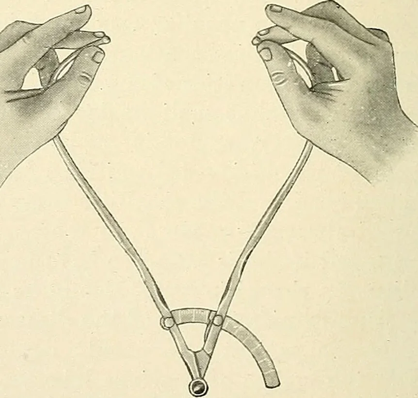 An illustration from Obstetrics : a text-book for the use of students and practitioners / by J. Whitridge Williams ... with eight coloured plates and six hundred and thirty illustrations in the text., 1903, leaf 638