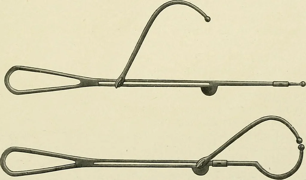 An illustration from Obstetrics : a text-book for the use of students and practitioners / by J. Whitridge Williams ... with eight coloured plates and six hundred and thirty illustrations in the text., 1903, leaf 645