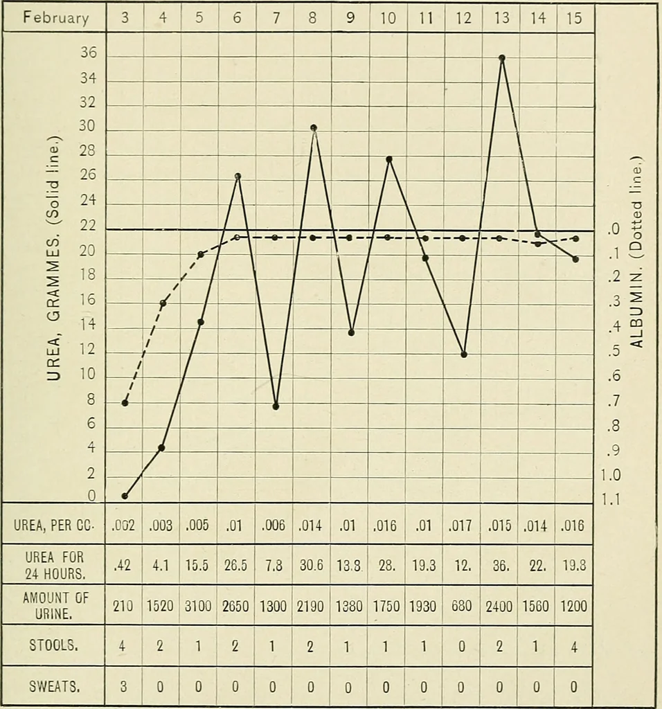 An illustration from Obstetrics : a text-book for the use of students and practitioners / by J. Whitridge Williams ... with eight coloured plates and six hundred and thirty illustrations in the text., 1903, leaf 753