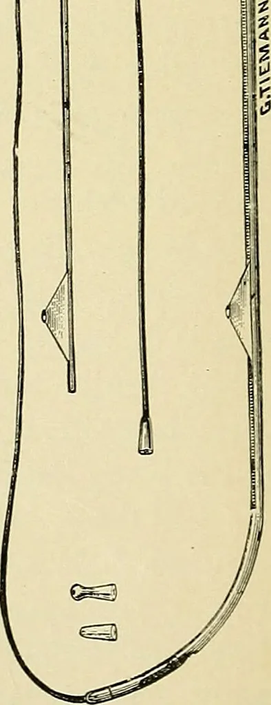 An illustration from A practical treatise on genito-urinary and venereal diseases and syphilis / By Robert W. Taylor., 1904, leaf 200