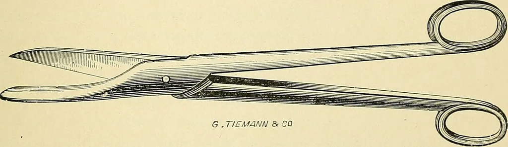An illustration from A practical treatise on genito-urinary and venereal diseases and syphilis / By Robert W. Taylor., 1904, leaf 509