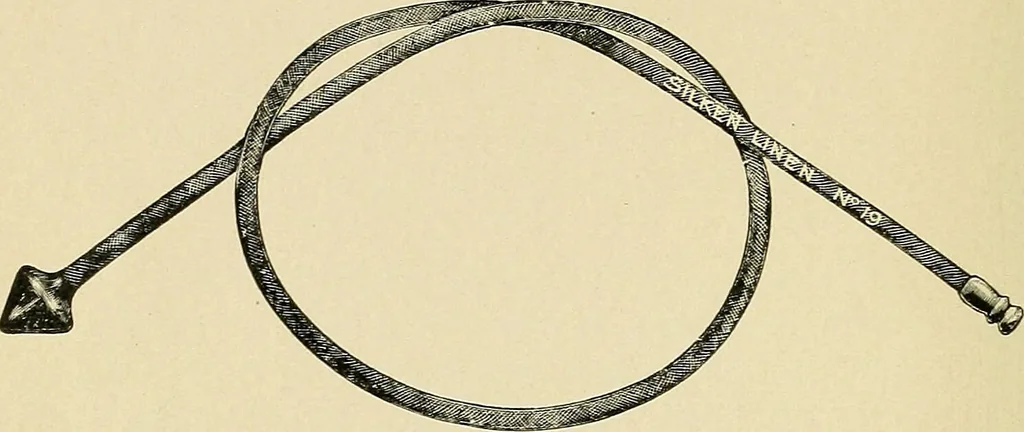 An illustration from A practical treatise on genito-urinary and venereal diseases and syphilis / By Robert W. Taylor., 1904, leaf 90