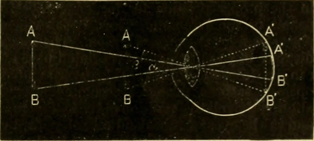 An illustration from A manual of physiology : with practical exercises / by G. N. Stewart ; with coloured plate and 467 other illustrations., 1914, leaf 1003
