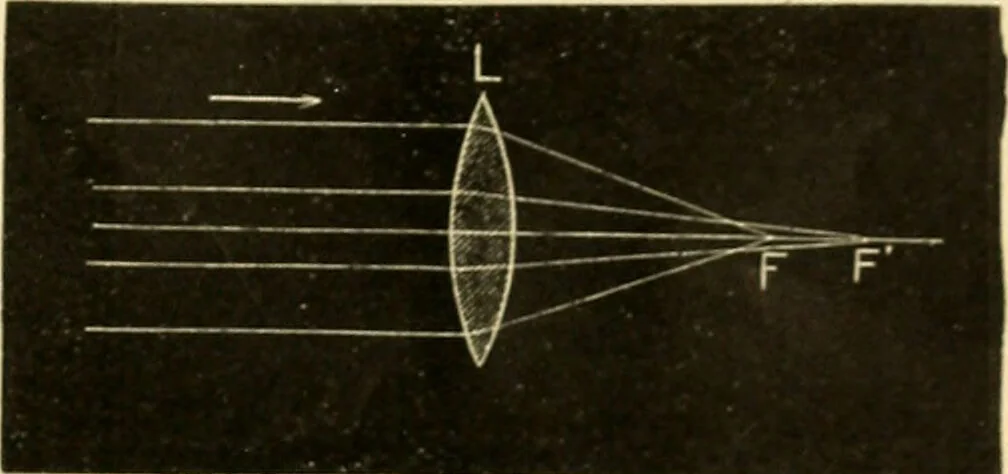 An illustration from A manual of physiology : with practical exercises / by G. N. Stewart ; with coloured plate and 467 other illustrations., 1914, leaf 1011