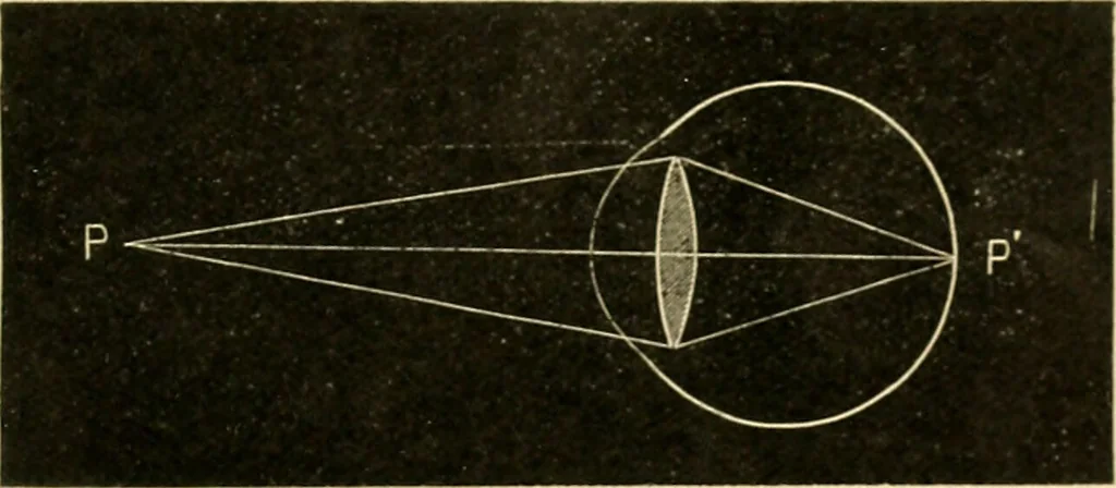 An illustration from A manual of physiology : with practical exercises / by G. N. Stewart ; with coloured plate and 467 other illustrations., 1914, leaf 1013