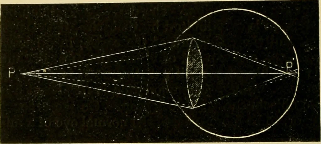 An illustration from A manual of physiology : with practical exercises / by G. N. Stewart ; with coloured plate and 467 other illustrations., 1914, leaf 1014