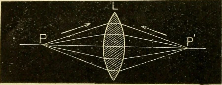 An illustration from A manual of physiology : with practical exercises / by G. N. Stewart ; with coloured plate and 467 other illustrations., 1914, leaf 1016