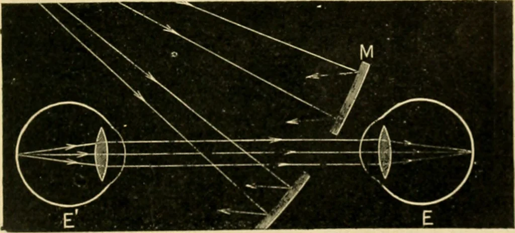An illustration from A manual of physiology : with practical exercises / by G. N. Stewart ; with coloured plate and 467 other illustrations., 1914, leaf 1017