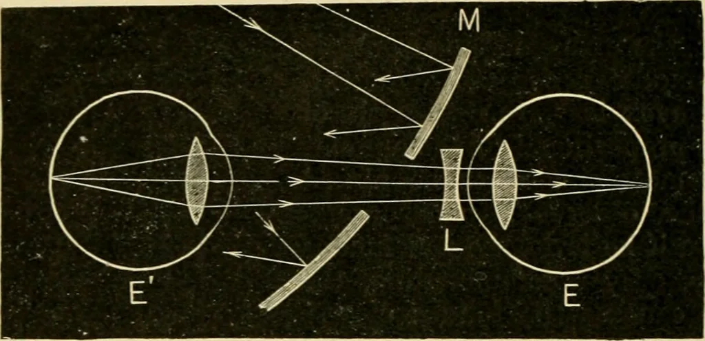 An illustration from A manual of physiology : with practical exercises / by G. N. Stewart ; with coloured plate and 467 other illustrations., 1914, leaf 1018