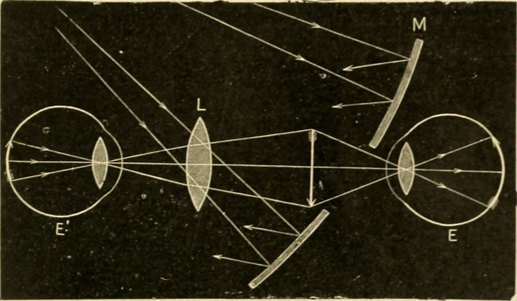 An illustration from A manual of physiology : with practical exercises / by G. N. Stewart ; with coloured plate and 467 other illustrations., 1914, leaf 1019