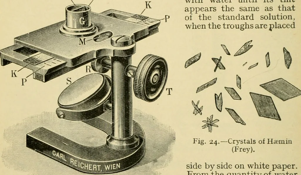 An illustration from A manual of physiology : with practical exercises / by G. N. Stewart ; with coloured plate and 467 other illustrations., 1914, leaf 102