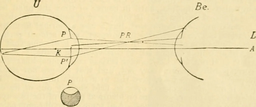 An illustration from A manual of physiology : with practical exercises / by G. N. Stewart ; with coloured plate and 467 other illustrations., 1914, leaf 1021