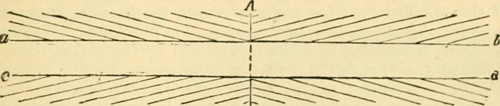 An illustration from A manual of physiology : with practical exercises / by G. N. Stewart ; with coloured plate and 467 other illustrations., 1914, leaf 1025
