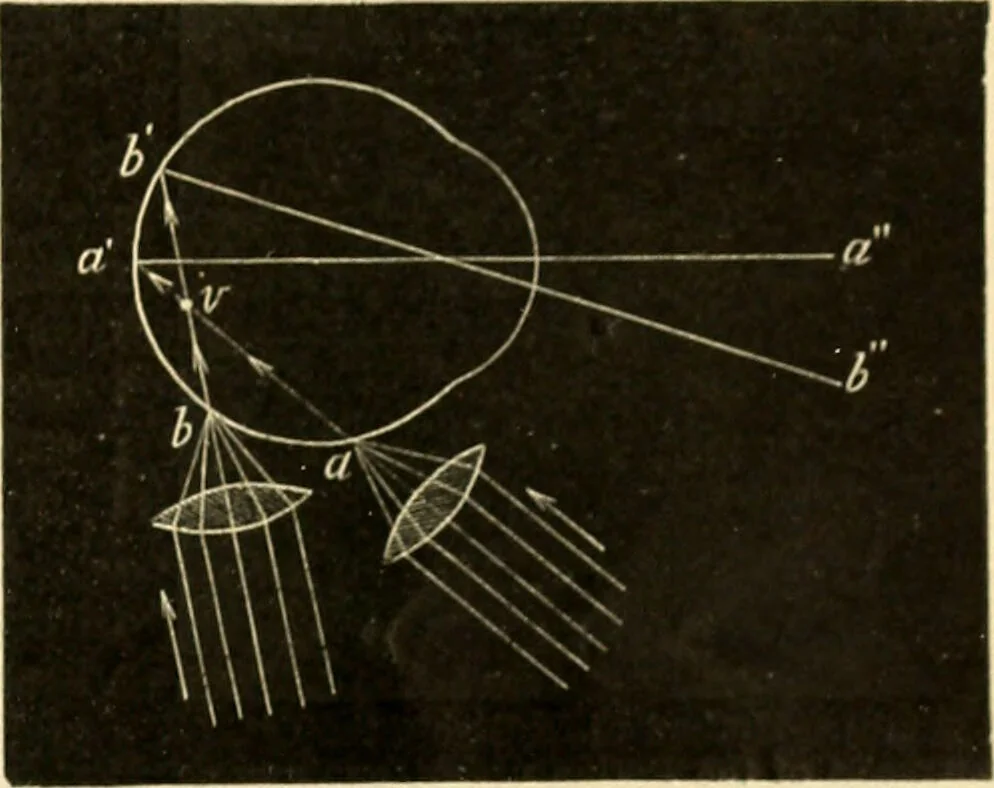 An illustration from A manual of physiology : with practical exercises / by G. N. Stewart ; with coloured plate and 467 other illustrations., 1914, leaf 1027