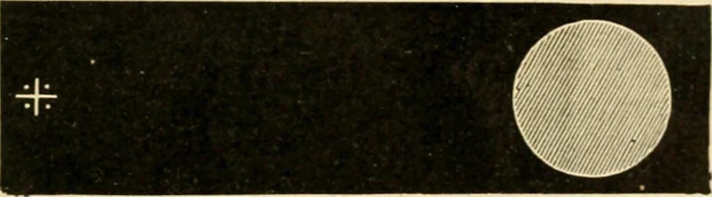 An illustration from A manual of physiology : with practical exercises / by G. N. Stewart ; with coloured plate and 467 other illustrations., 1914, leaf 1029