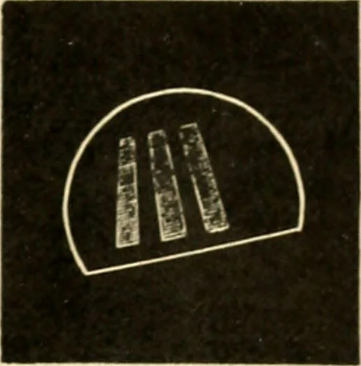 An illustration from A manual of physiology : with practical exercises / by G. N. Stewart ; with coloured plate and 467 other illustrations., 1914, leaf 1031
