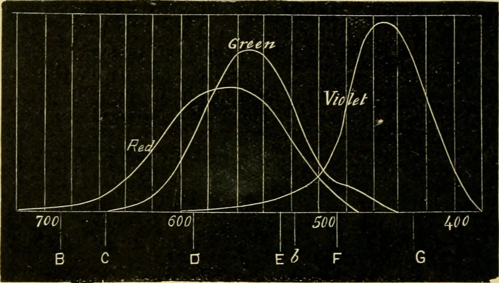 An illustration from A manual of physiology : with practical exercises / by G. N. Stewart ; with coloured plate and 467 other illustrations., 1914, leaf 1038