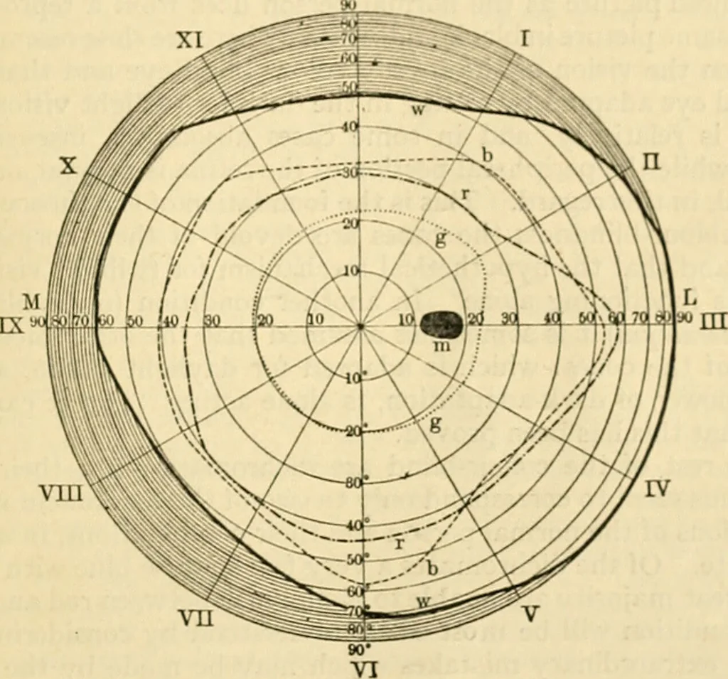 An illustration from A manual of physiology : with practical exercises / by G. N. Stewart ; with coloured plate and 467 other illustrations., 1914, leaf 1043