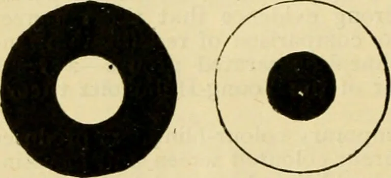An illustration from A manual of physiology : with practical exercises / by G. N. Stewart ; with coloured plate and 467 other illustrations., 1914, leaf 1046
