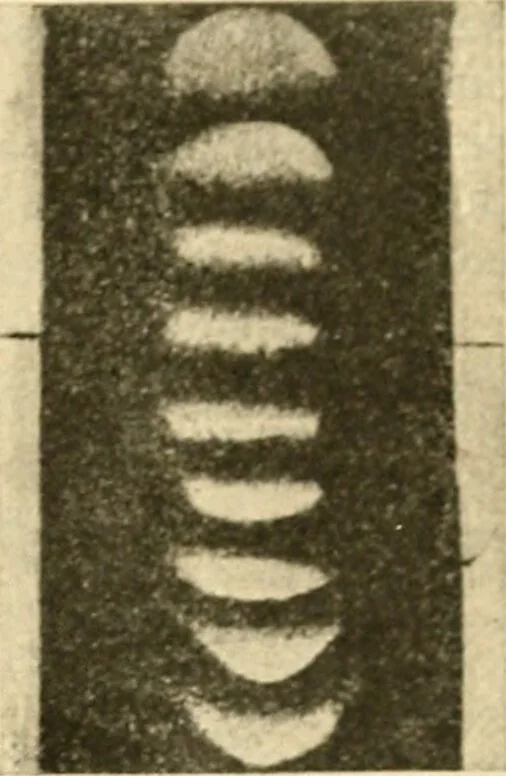 An illustration from A manual of physiology : with practical exercises / by G. N. Stewart ; with coloured plate and 467 other illustrations., 1914, leaf 1059