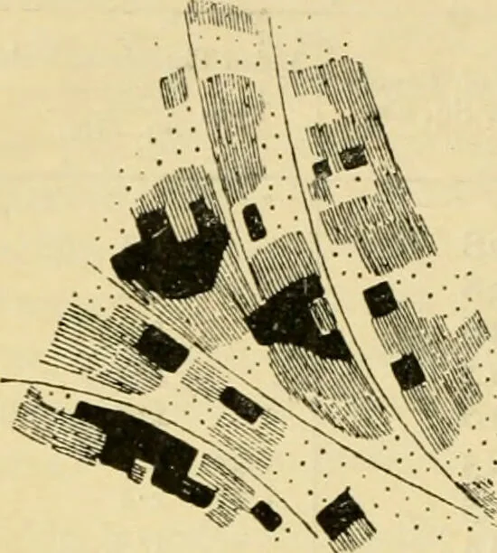 An illustration from A manual of physiology : with practical exercises / by G. N. Stewart ; with coloured plate and 467 other illustrations., 1914, leaf 1066