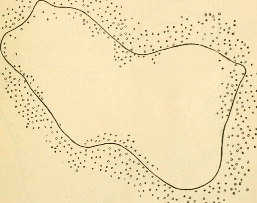 An illustration from A manual of physiology : with practical exercises / by G. N. Stewart ; with coloured plate and 467 other illustrations., 1914, leaf 1071