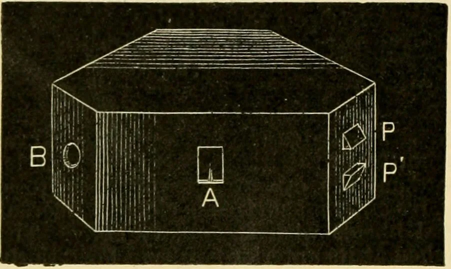 An illustration from A manual of physiology : with practical exercises / by G. N. Stewart ; with coloured plate and 467 other illustrations., 1914, leaf 1084