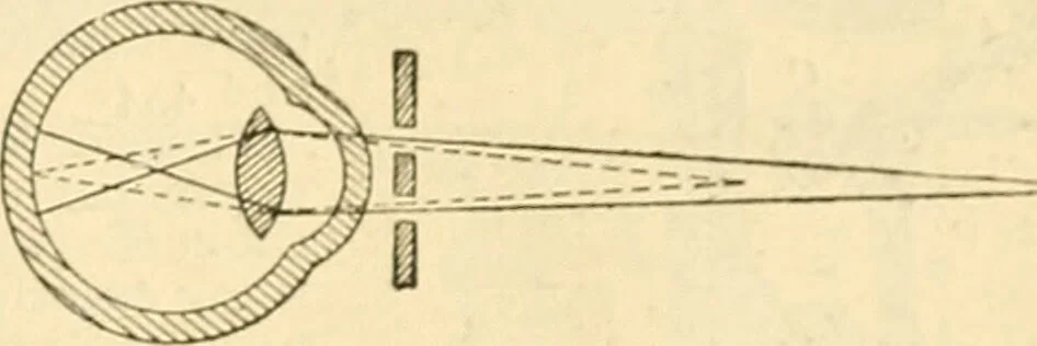 An illustration from A manual of physiology : with practical exercises / by G. N. Stewart ; with coloured plate and 467 other illustrations., 1914, leaf 1085