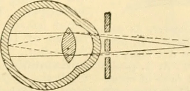 An illustration from A manual of physiology : with practical exercises / by G. N. Stewart ; with coloured plate and 467 other illustrations., 1914, leaf 1085