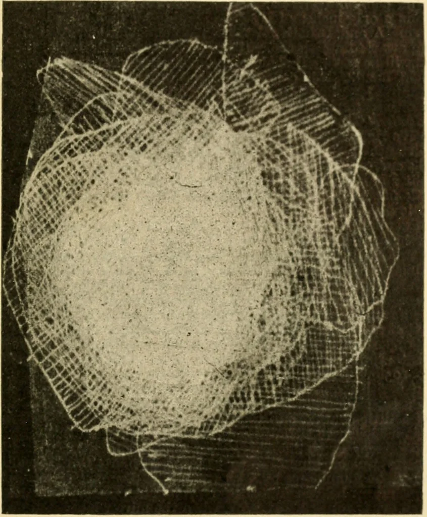An illustration from A manual of physiology : with practical exercises / by G. N. Stewart ; with coloured plate and 467 other illustrations., 1914, leaf 1089