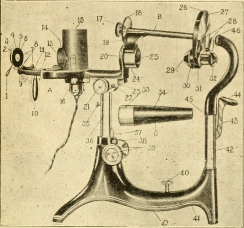 An illustration from A manual of physiology : with practical exercises / by G. N. Stewart ; with coloured plate and 467 other illustrations., 1914, leaf 1091