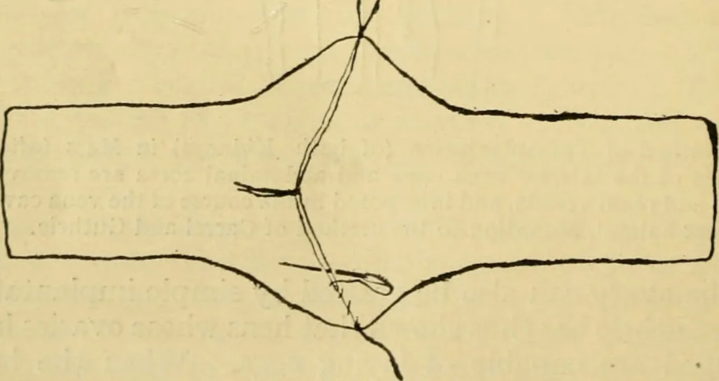 An illustration from A manual of physiology : with practical exercises / by G. N. Stewart ; with coloured plate and 467 other illustrations., 1914, leaf 1124